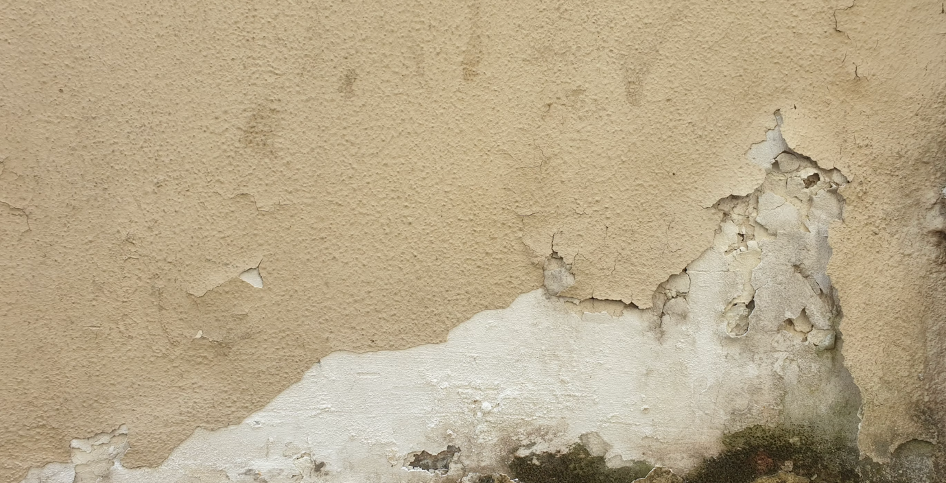 Cracks on a wall with mould growing
