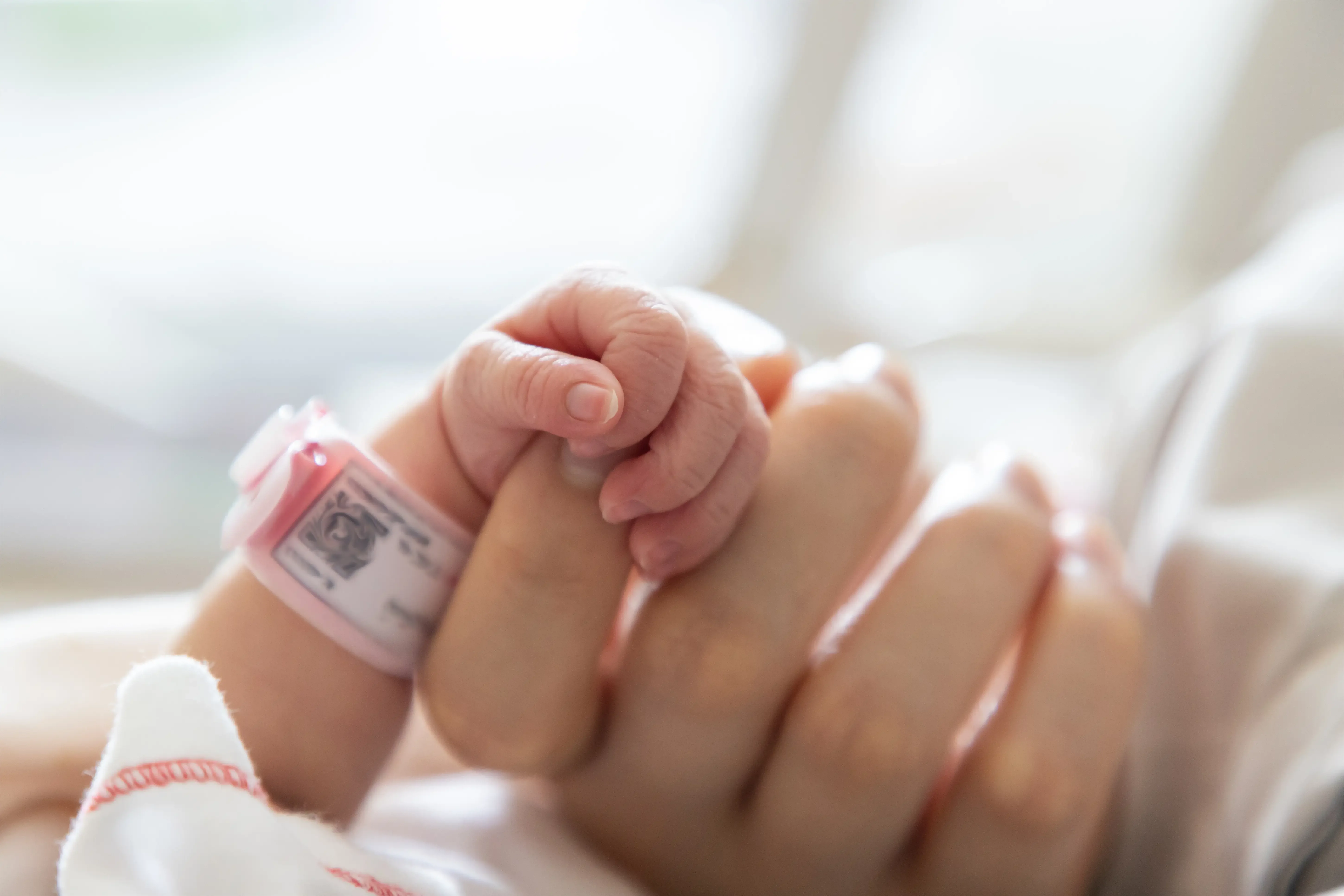 a mother holding a newborn baby's hand