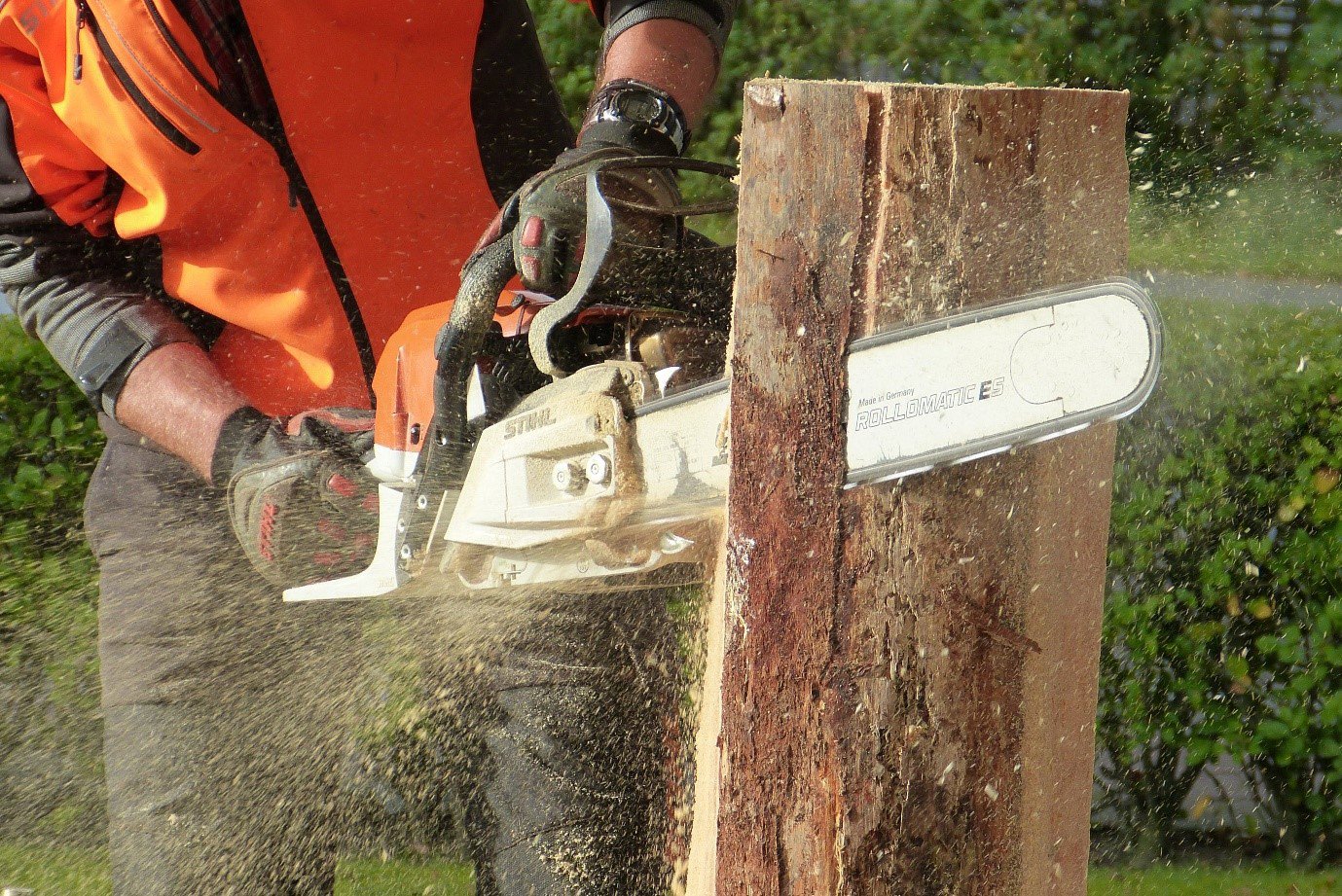 a lumberjack cutting a tree stump with a chainsaw