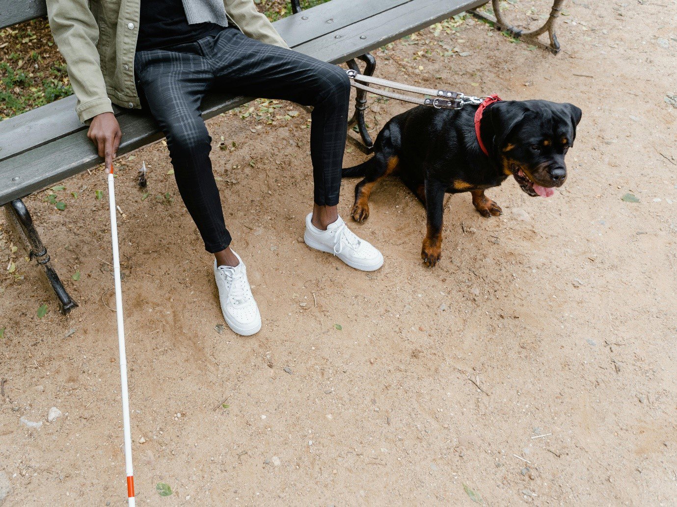a blind man sitting on a bench with a white cane and a dog