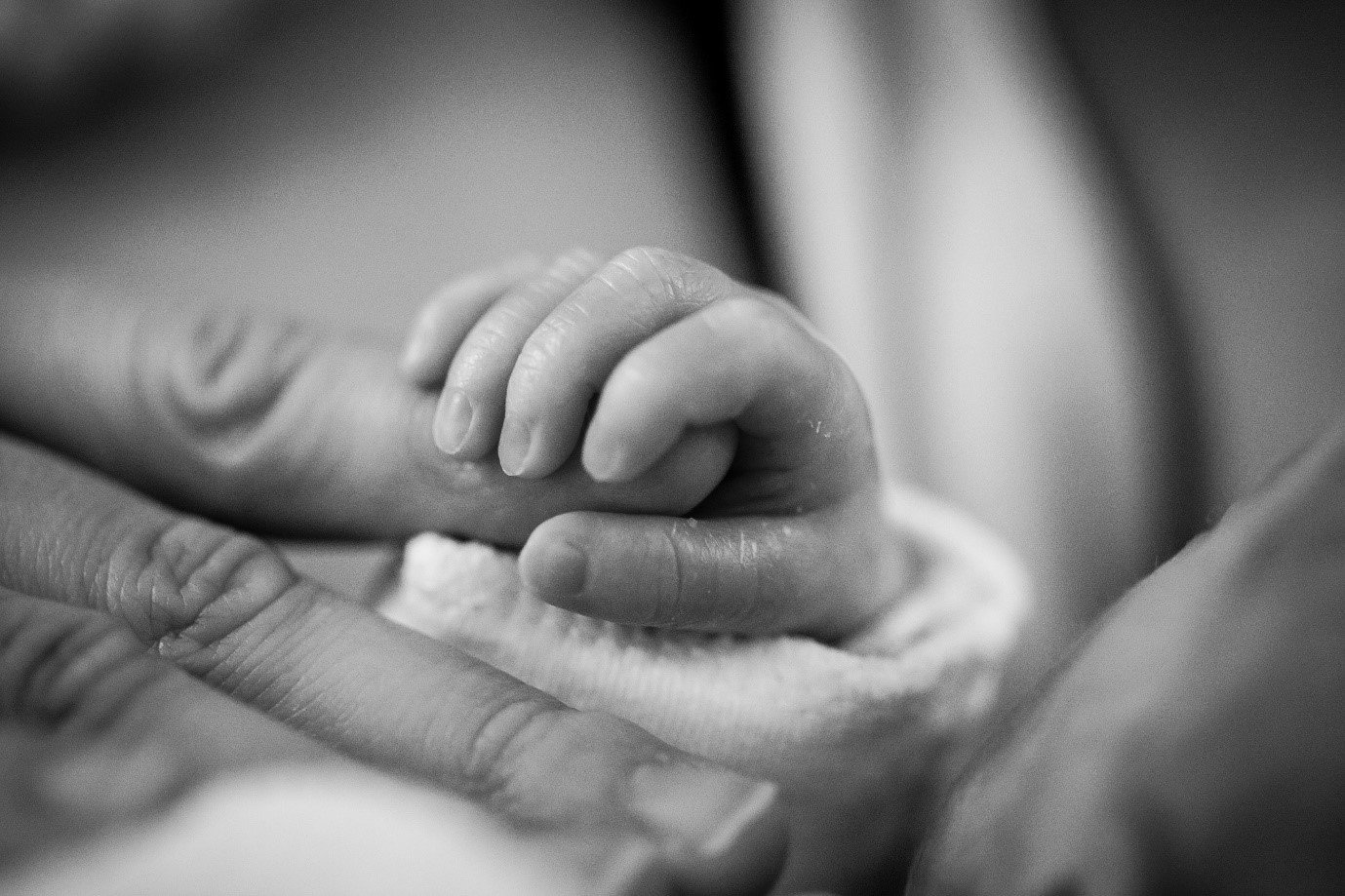 a baby holding their parent's hand